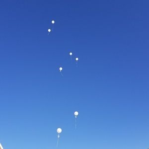 Meet your Posher, Marie